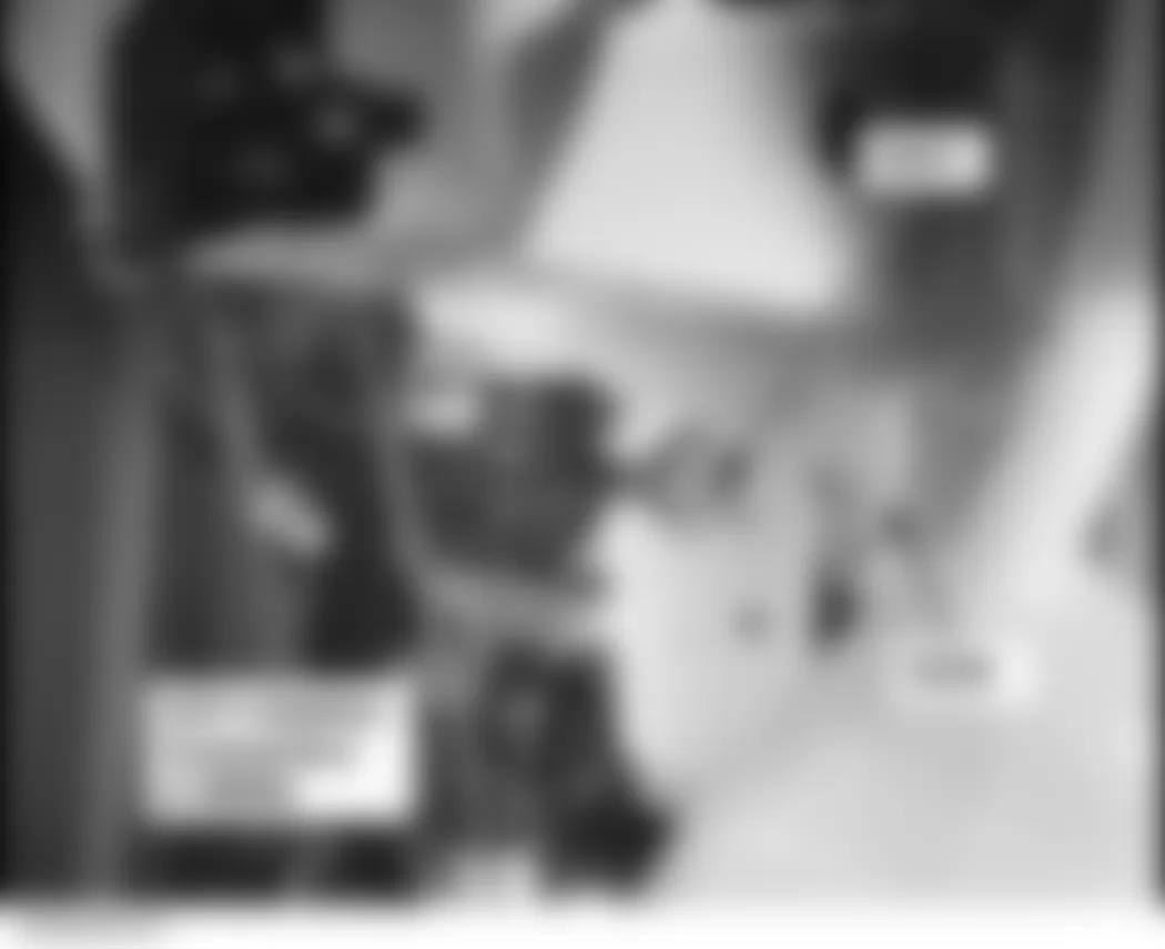 Honda Civic Hybrid 2006 - Component Locations - Behind Right Side Of Front Bumper