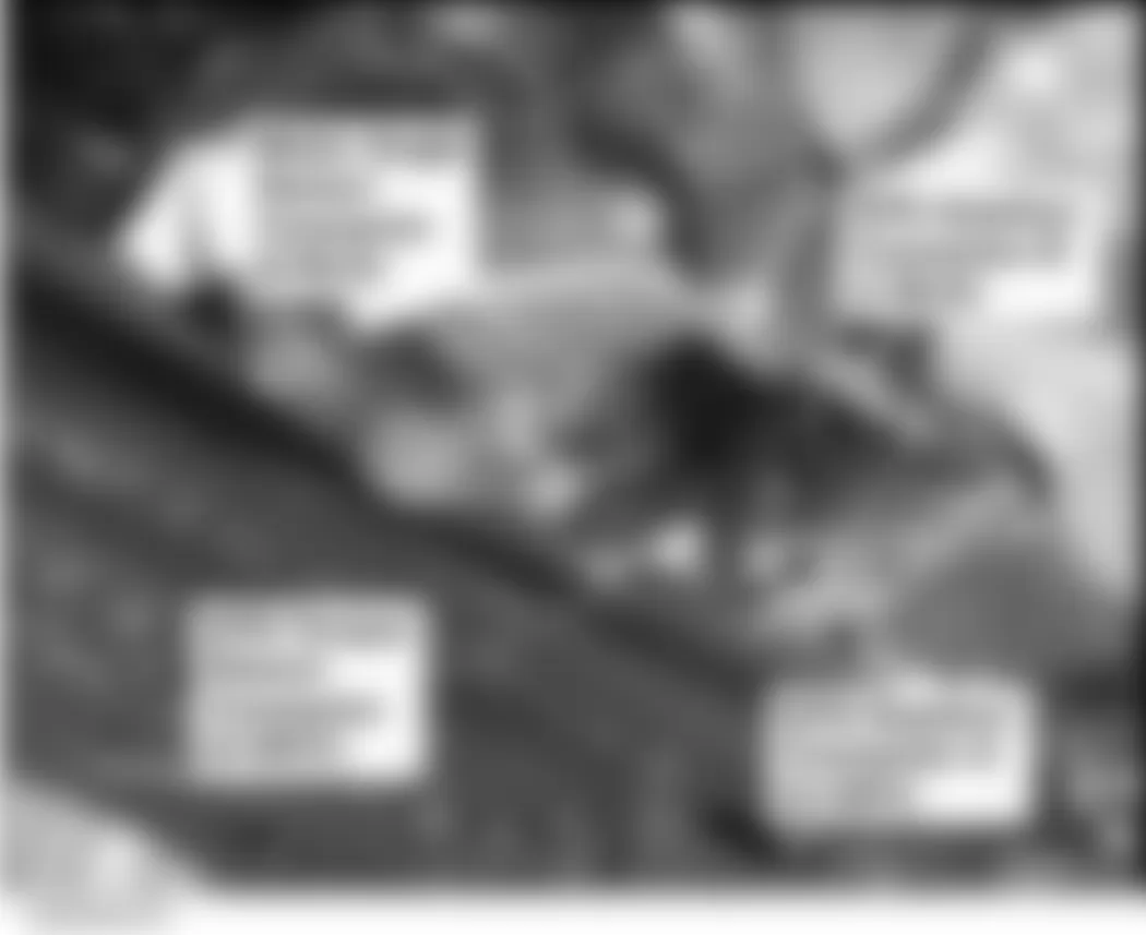 Honda Civic Hybrid 2006 - Component Locations - Lower Rear Of Engine (Si)