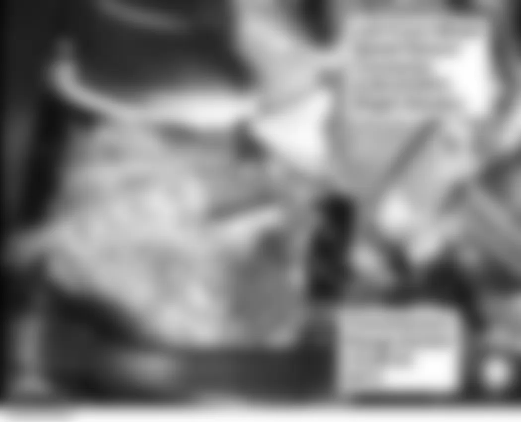 Honda Civic Hybrid 2006 - Component Locations - Lower Left Side Of Engine Compartment (Right Similar)