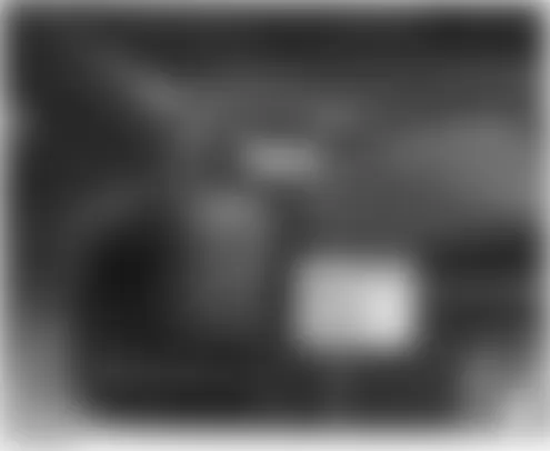 Honda Element EX 2006 - Component Locations -  Left Side Of Tailgate