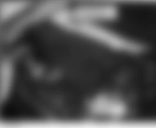 Honda Ridgeline RT 2006 - Component Locations -  Right Rear Of Engine Compartment