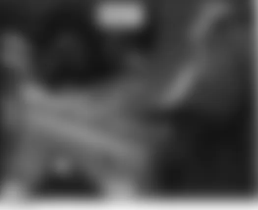 Honda Ridgeline RT 2006 - Component Locations -  Behind Left Side Of Front Bumper
