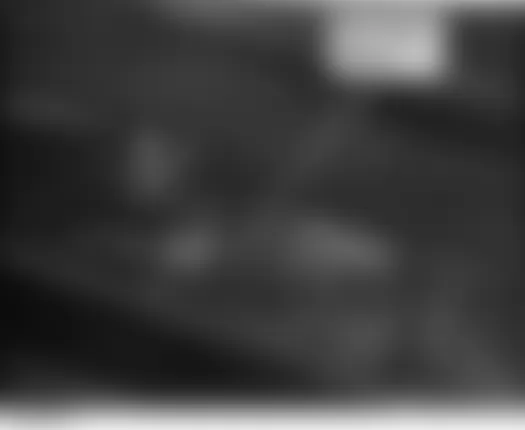 Honda Ridgeline RT 2006 - Component Locations -  Left Rear Of Engine Compartment