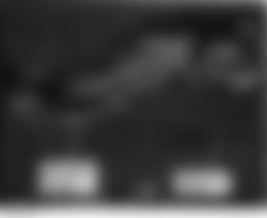 Honda Ridgeline RT 2006 - Component Locations -  Rear Of Roof