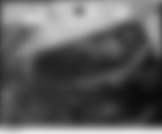 Honda Ridgeline RT 2006 - Component Locations -  Under Left Rear Of Vehicle