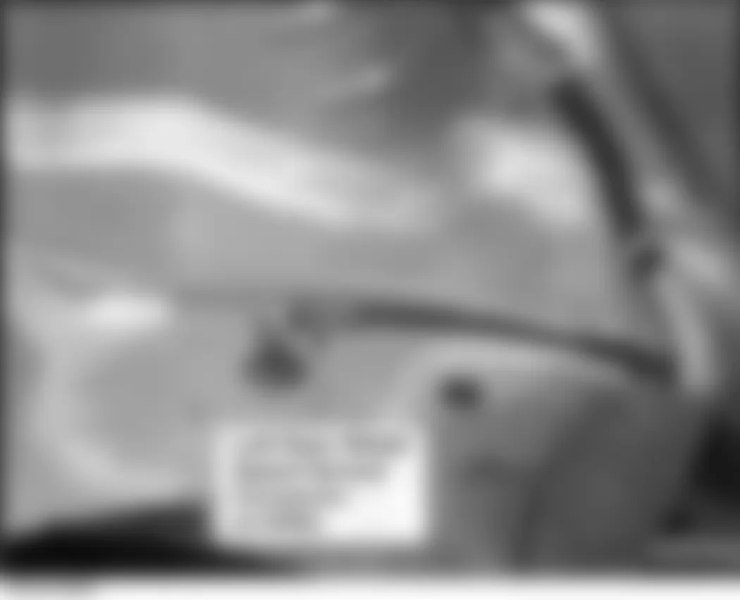 Honda Fit 2008 - Component Locations -  Left Rear Of Floor (Right Similar)