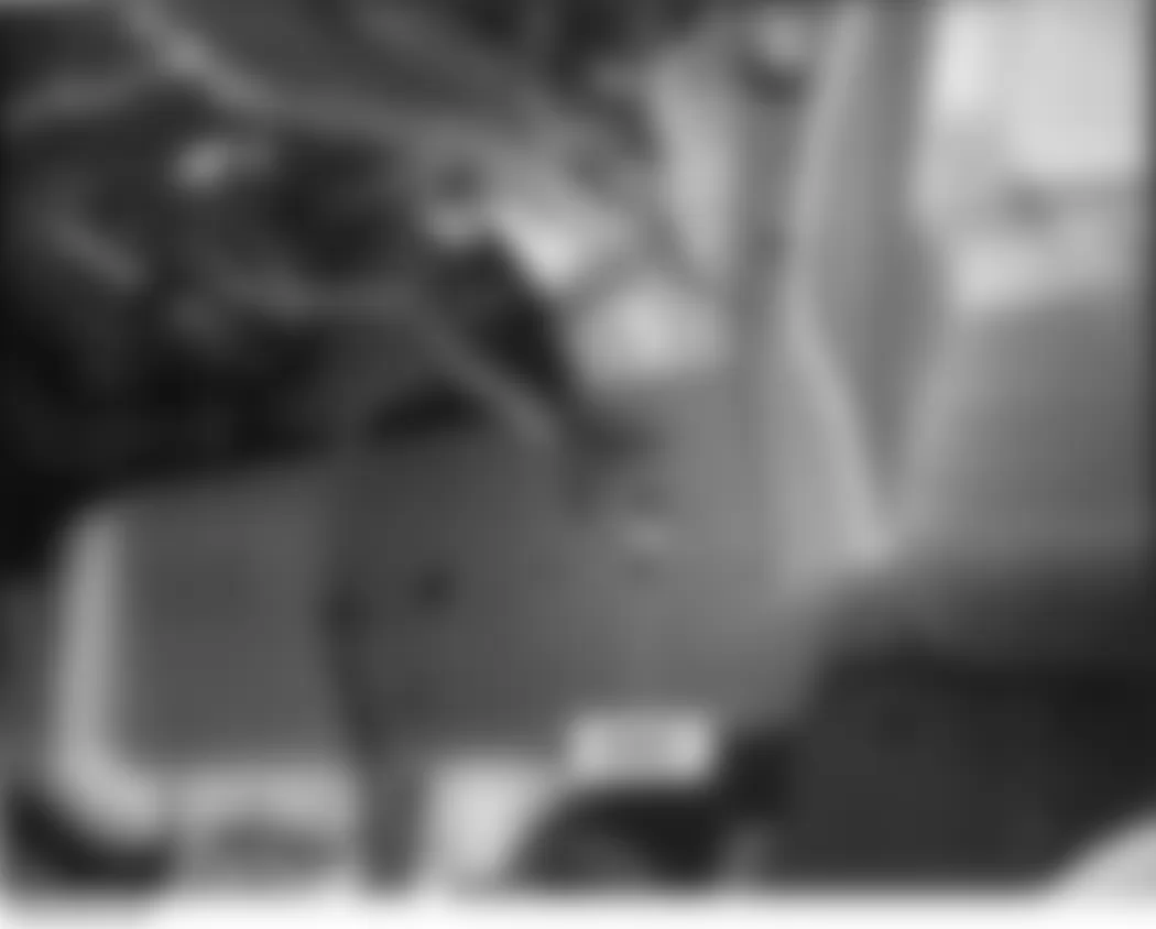 Honda Fit 2008 - Component Locations -  Left Side Of Front Bumper
