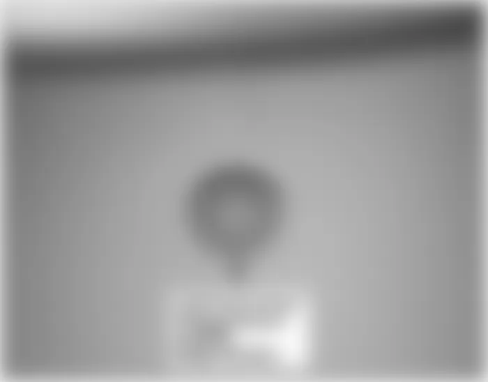 Honda Odyssey EX 2009 - Component Locations -  Left Side Of Front Bumper (Touring)