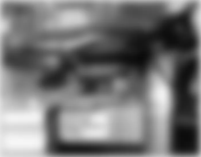 Honda Odyssey EX 2009 - Component Locations -  Behind Left Side Of Front Bumper (Right Similar)