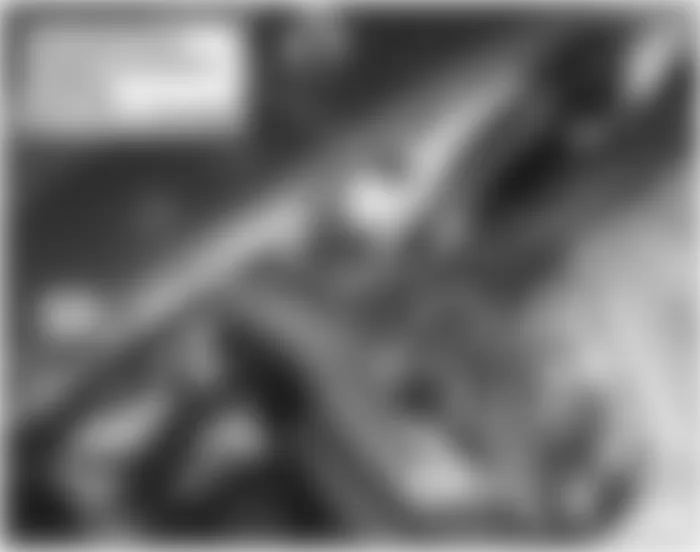 Honda Odyssey EX 2009 - Component Locations -  Front Of Engine Compartment