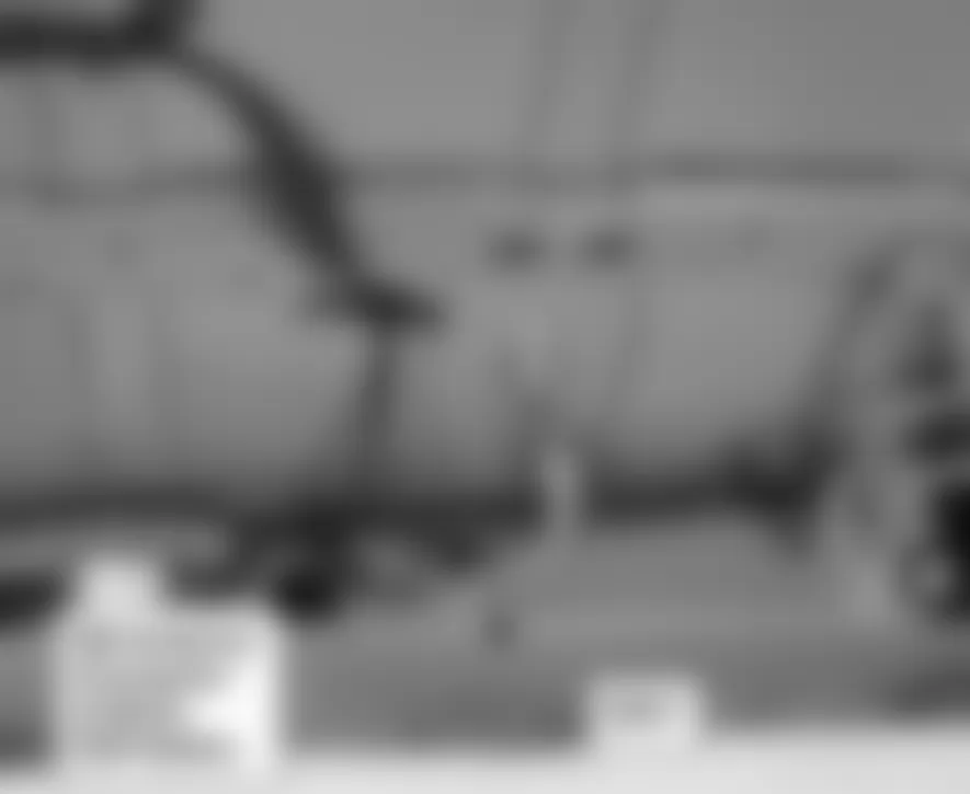 Honda Pilot EX 2009 - Component Locations -  Rear Of Roof