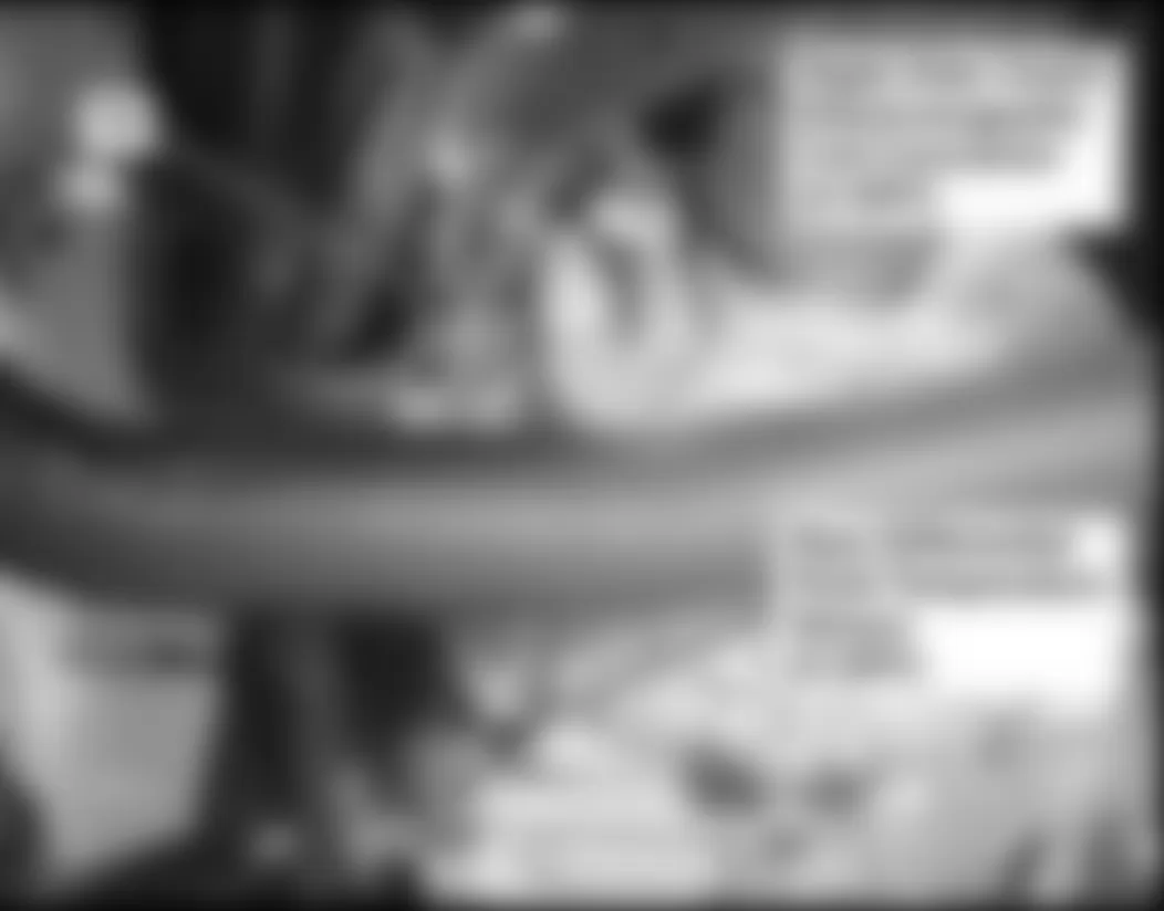 Honda Ridgeline RT 2009 - Component Locations -  Rear Differential