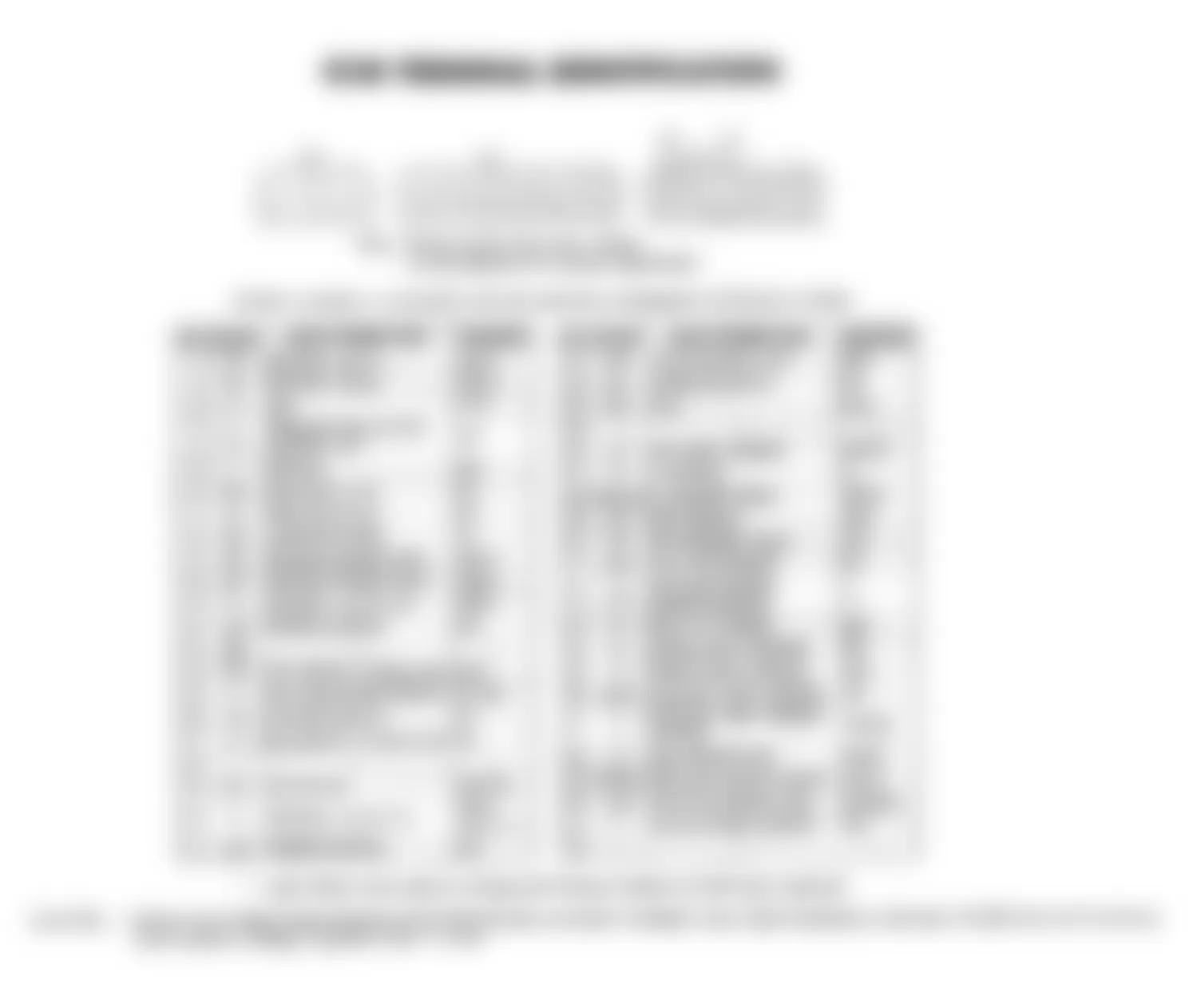 Isuzu Rodeo XS 1992 - Component Locations -  ECM Terminal Identification