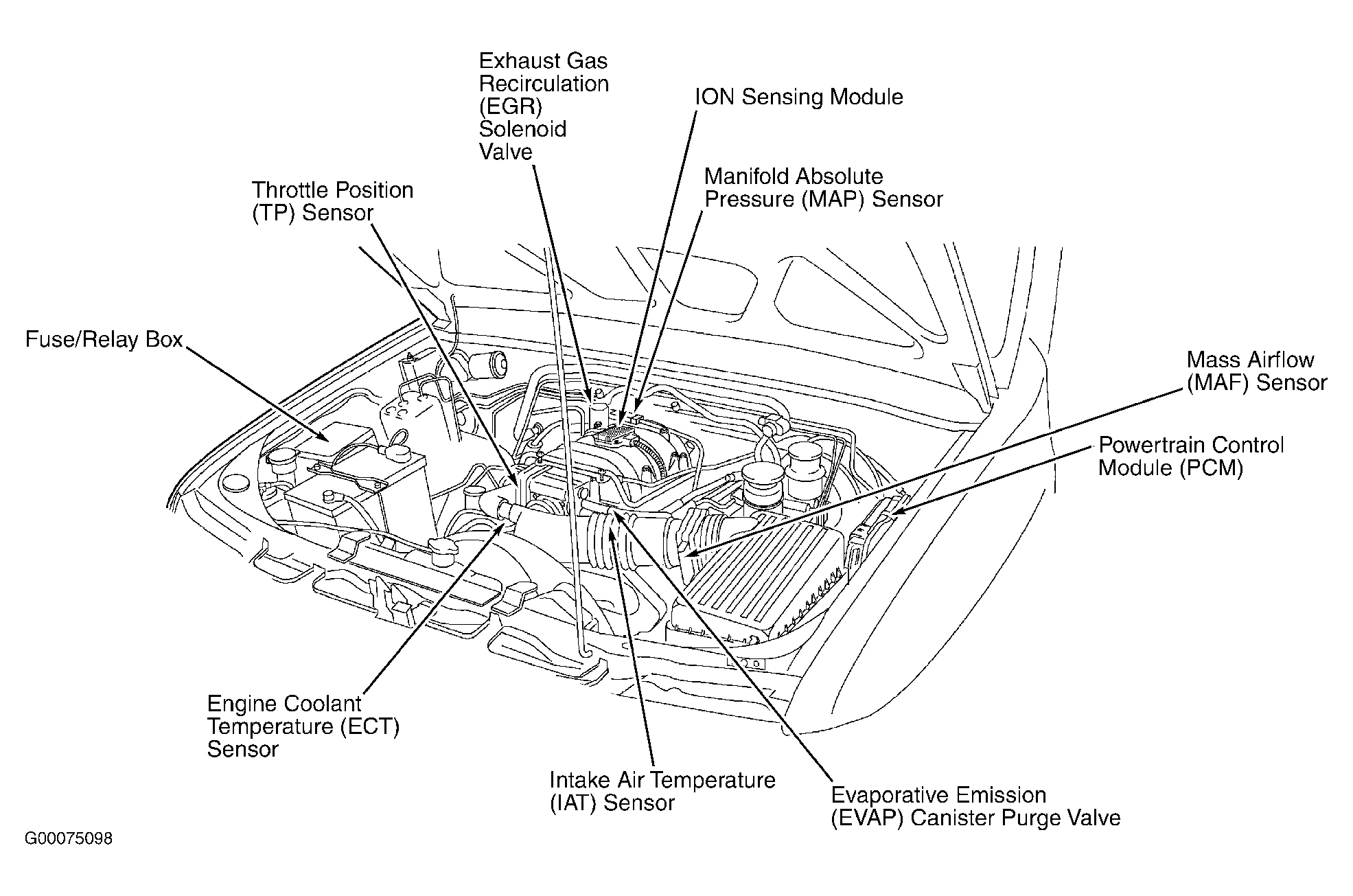 Isuzu Axiom 2002 - Component Locations -  Engine Compartment