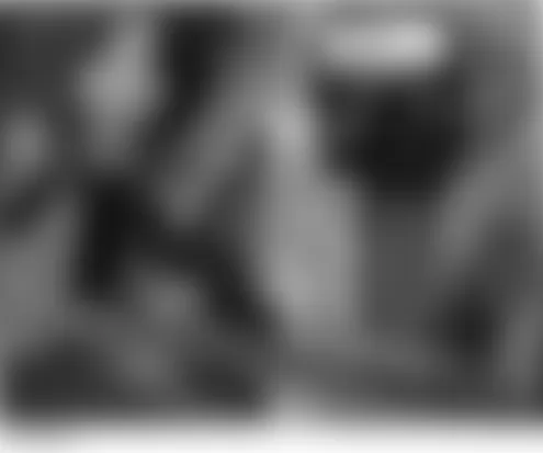 Isuzu Ascender LS 2005 - Component Locations -  Right Rear Of Engine Compartment