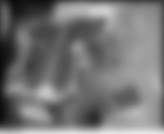 Isuzu Ascender LS 2005 - Component Locations -  Left Front Wheel Housing (Right Similar)