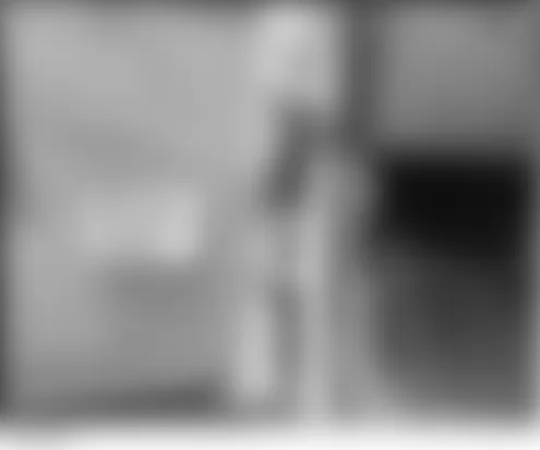 Isuzu Ascender LS 2005 - Component Locations -  Left Front Door Jamb (Right Similar)