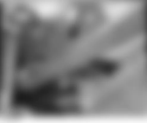 Isuzu Ascender LS 2005 - Component Locations -  Left Rear Frame Rail