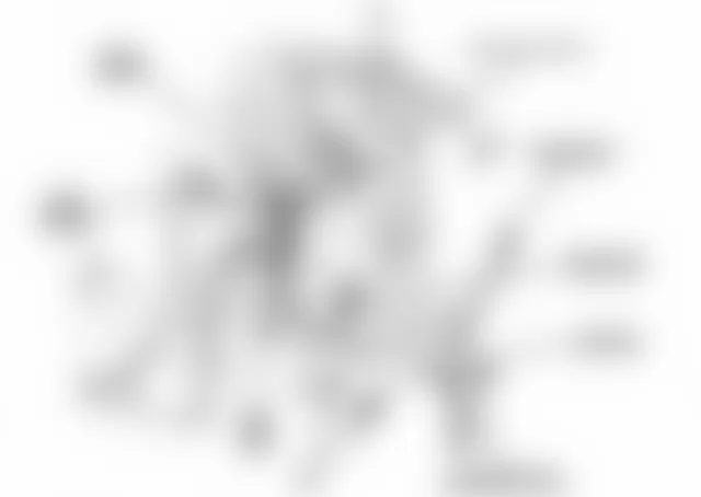 Jeep Liberty Sport 2010 - Component Locations -  Right Front Of Engine Compartment