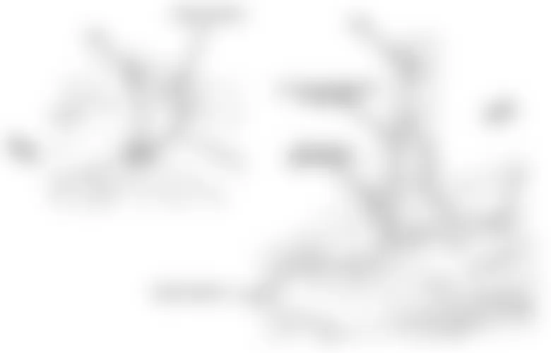 Jeep Patriot Limited 2010 - Component Locations -  Right B Pillar