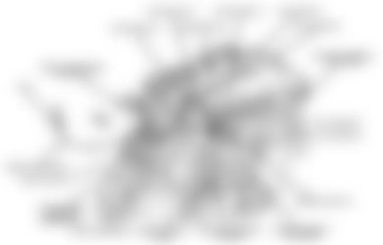 Jeep Patriot Limited 2010 - Component Locations -  Left Rear Of Engine