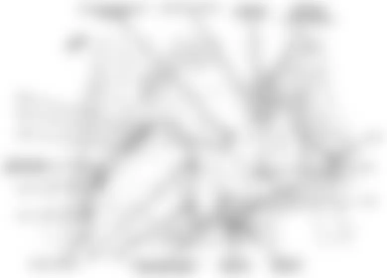 Jeep Patriot Limited 2010 - Component Locations -  Right Rear Of Body