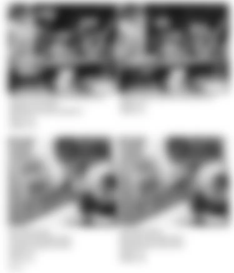 Land Rover Range Rover County Classic 1995 - Component Locations -  Component Locations (20 Of 55)