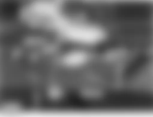 Land Rover Discovery HSE 2004 - Component Locations -  Center Of Roof