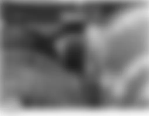 Land Rover Discovery HSE 2004 - Component Locations -  Top Front Of Engine