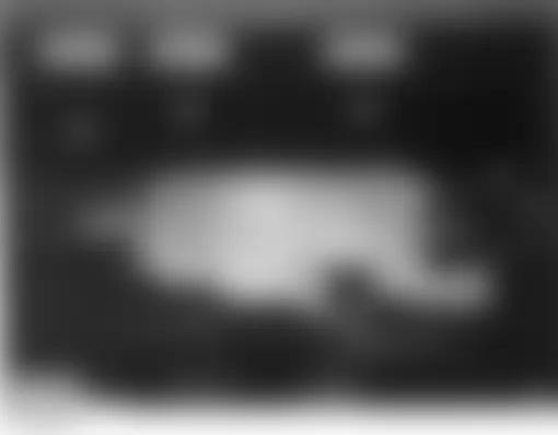 Land Rover Discovery HSE 2004 - Component Locations -  Under Right Side Of Vehicle