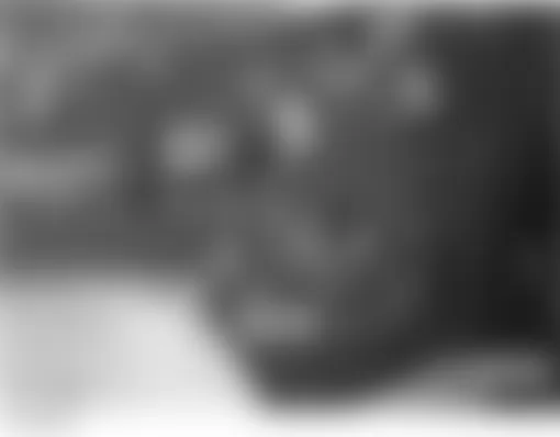Land Rover Discovery HSE 2004 - Component Locations -  Left Rear Door