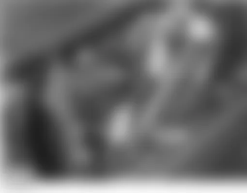 Land Rover Discovery HSE 2004 - Component Locations -  Behind Front Grille
