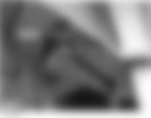 Land Rover Discovery HSE 2004 - Component Locations -  Under Right Rear Wheelwell
