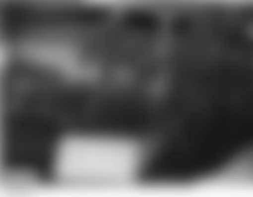 Land Rover Discovery HSE 2004 - Component Locations -  Left Rear Of Vehicle