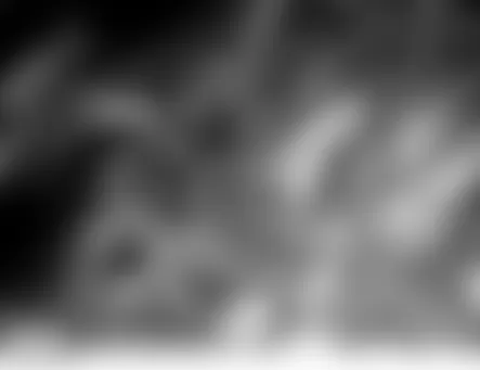 Land Rover LR3 HSE 2006 - Component Locations -  Right Rear Of Engine