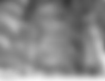 Land Rover LR3 HSE 2006 - Component Locations -  Top Left Side Of Engine