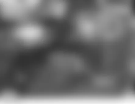 Land Rover LR3 HSE 2006 - Component Locations -  Behind Right Front Wheel Arch Liner