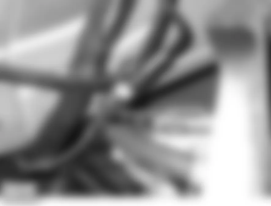 Land Rover LR3 HSE 2006 - Component Locations -  Left Front Wheel Arch Liner