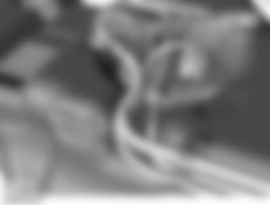 Land Rover LR3 HSE 2006 - Component Locations -  Above Fuel Tank