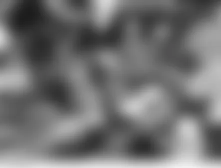 Land Rover LR3 HSE 2006 - Component Locations -  Top Of Engine