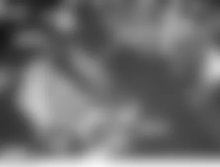 Land Rover LR3 HSE 2006 - Component Locations -  Center Console