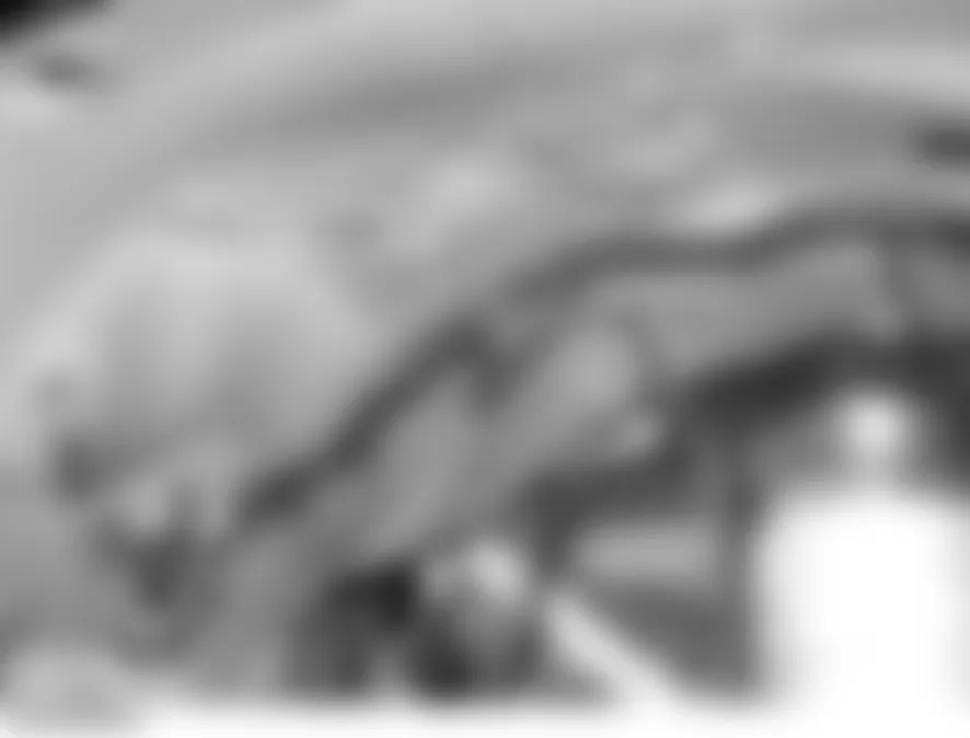 Land Rover LR3 HSE 2006 - Component Locations -  Right Front Wheel Arch Liner