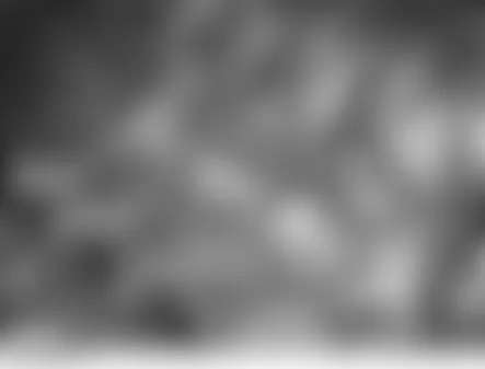 Land Rover LR3 HSE 2006 - Component Locations -  Right Side Of Engine