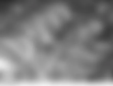 Land Rover LR3 HSE 2006 - Component Locations -  Left Side Of Engine