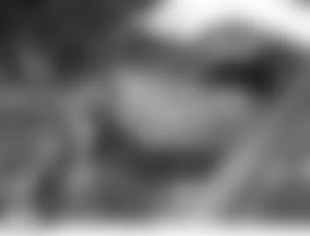 Land Rover LR3 HSE 2006 - Component Locations -  Under Engine Compartment Fuse Box