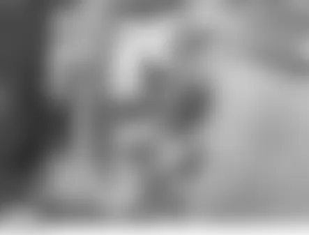 Land Rover LR3 HSE 2006 - Component Locations -  Left D Pillar