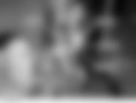 Land Rover LR3 HSE 2006 - Component Locations -  Left C Pillar