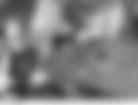 Land Rover LR3 HSE 2006 - Component Locations -  Left Front Wheel Arch Liner