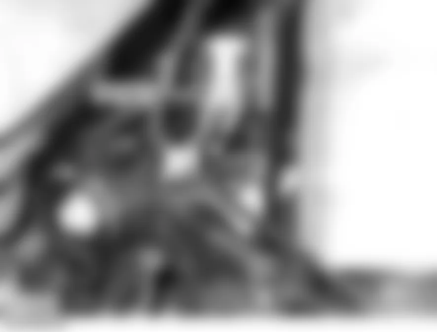 Land Rover LR3 HSE 2006 - Component Locations -  Left Rear Wheel Arch