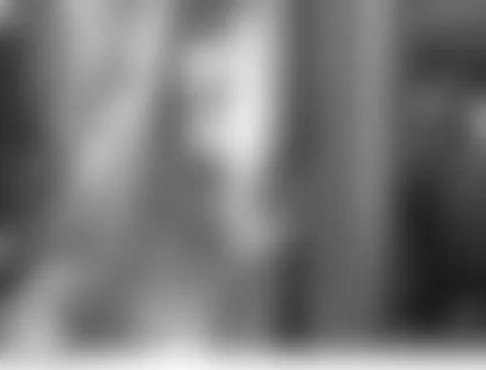 Land Rover LR3 HSE 2006 - Component Locations -  Right D Pillar